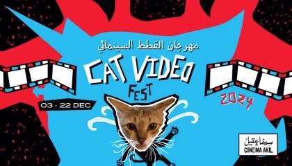 Cat Video Fest